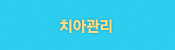 치아관리