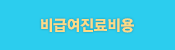 비급여안내